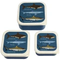 Rex London Sharks Set of 3 Snack Boxes