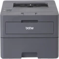 Brother Mono Laser Printer HL-L2445DW