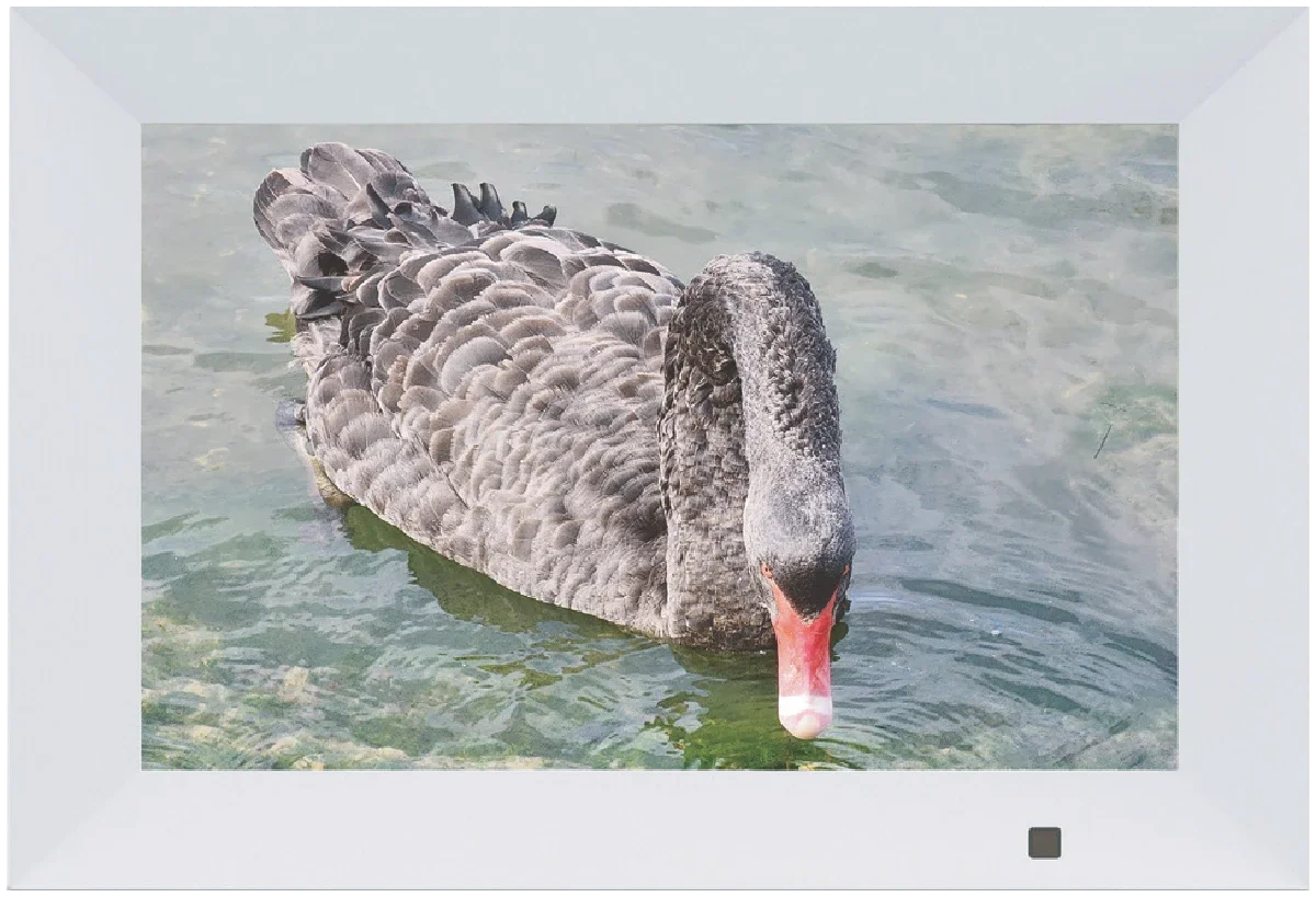 Qpix 10.1" Digital Photo Frame IPS Screen with Remote 32GB
