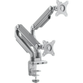 Ergovida Mechanical Spring Dual Monitor Arm with USB & Media Port