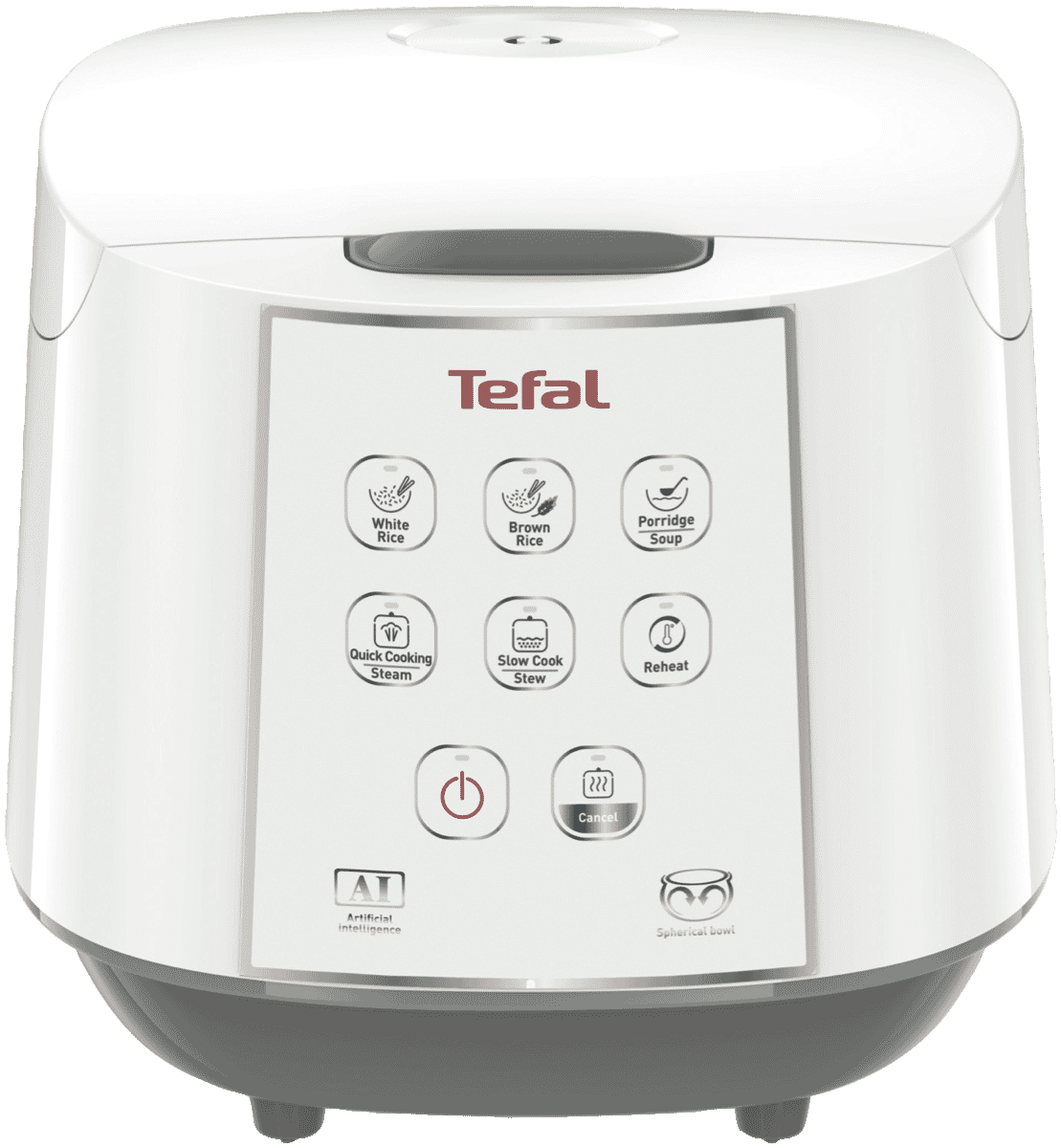 Tefal Easy Rice & Slow Cooker