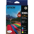Epson 220 High Capacity DURABrite Ultra 4 ink Value Pack