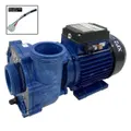 Aqua Flo XP2 1.5 HP 2 Speed Pump