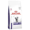 Royal Canin Veterinary Dental Dry Cat Food 3kg