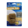 Aquatopia Hermit Crab Sponge 2 Pack
