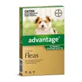 Advantage Dog Small Green 4 Pack