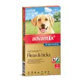 Advantix Dog Extra Large Blue 3 Pack