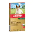 Advantix Dog Small Green 6 Pack