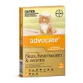 Advocate Cat Small Orange 3 Pack