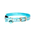 Rogz Sparklecat Collar Pin Turquoise 11mm