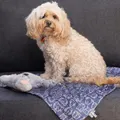 La Doggie Vita Blanket Plush Dog Central Indigo Medium