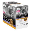 Pro Plan Kitten Chicken Jelly Wet Cat Food Pouches 85g