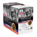 Pro Plan Kitten Salmon Gravy Wet Cat Food Pouches 85g