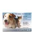 Capstar Blue Small 6 Pack