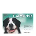 Capstar Green Medium And Large 6 Pack
