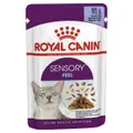 Royal Canin Sensory Feel Jelly Wet Cat Food 12 X 85g