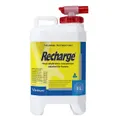 Recharge Horse Rehydration Concentrate 1L