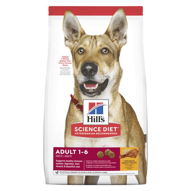 Hills Adult Dry Dog Food
