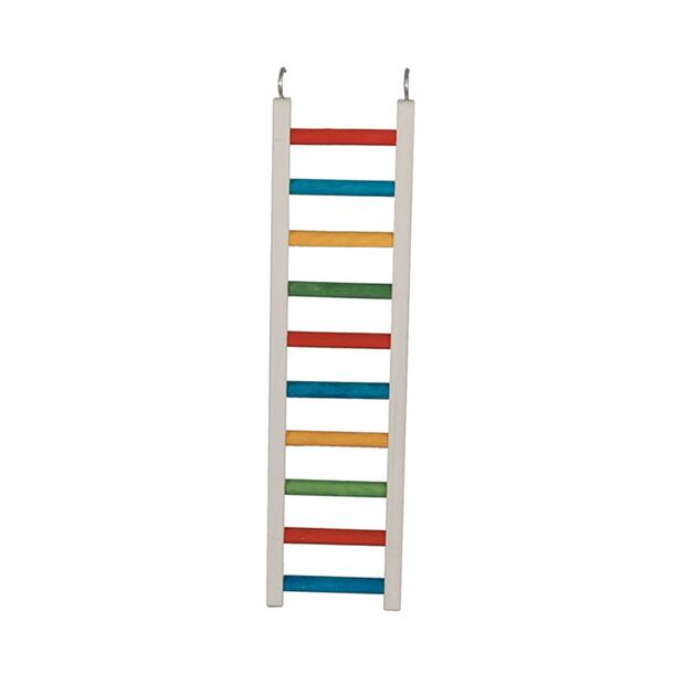 Paradise Parrot Ladder