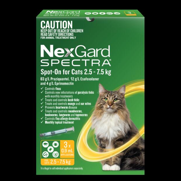 Nexgard Spectra Spot On For Large Cats Yellow