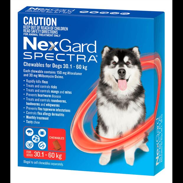 Nexgard Spectra Very Large Dog