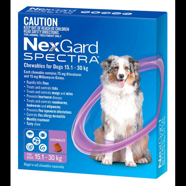 Nexgard Spectra Large Dog