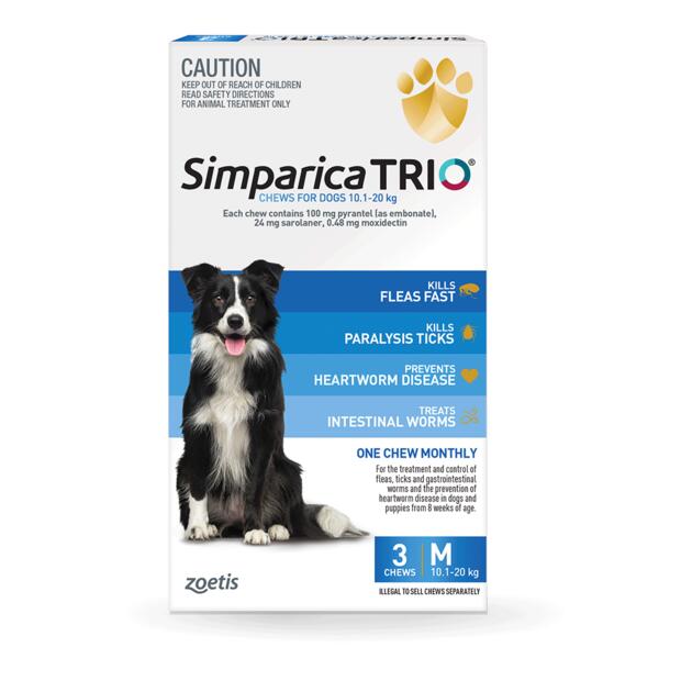 Simparica Trio Medium