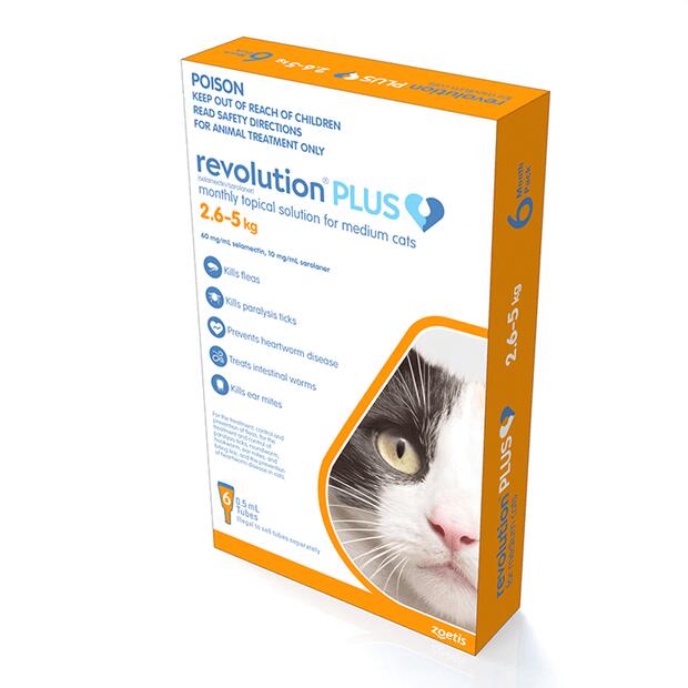 Revolution Plus Orange Medium Cat