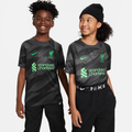 Liverpool F.C. 2023/24 Stadium Goalkeeper Older Kids' Nike Dri-FIT Short-Sleeve Football Shirt - Grey - 50% Recycled Polyester