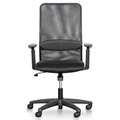 Pavello Mesh Office Chair