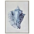 Blue Seashell Framed Canvas Wall Art, Horned Shell, 70cm