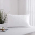 Accessorize Standard Cotton Quilted Pillow Protector