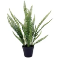 NF Potted Artificial Boston Fern, 56cm
