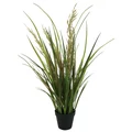 NF Potted Artificial Wheat, 70cm