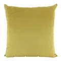 Aria Feather Filled Velvet Euro Cushion, Gold