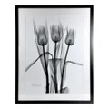 "Tulip Trio" Framed Wall Art Print, No.1, 100cm