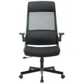 Wismar Mesh Ergonomic Office Chair