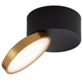 Netra Tilt Surface Mount LED Downlight, CCT, Black / Gold
