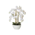 Artificial Butterfly Orchid in Round Pot, Small