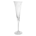 Baccala Etched Champagne Glass, Clear