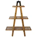 Groveland Mango Wood Ladder Rack, Small, Natural
