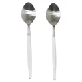 Fetuna Stainless Steel Pointed Spoon, Resin Handle, Set of 3