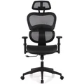 Elite Mesh Fabric Ergonomic Office Chair, Black