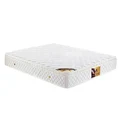Stardust IC588 Euro Top Coil Spring Medium-to-Firm Mattress, King