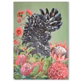 "Black Cockatoo with Native Flowers" Stretched Canvas Wall Art Painting, 90cm