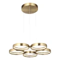Olympus Aluminium Dimmable LED Ring Pendant Light, 5 Light, CCT, Gold