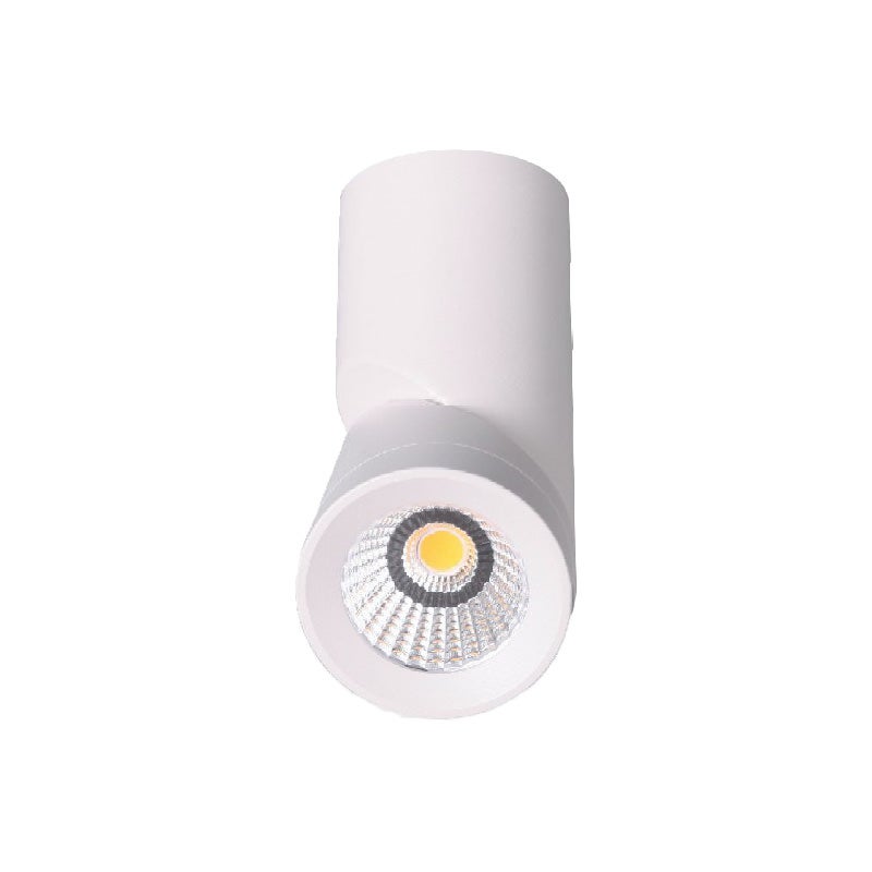 Vino Surface Mounted LED Gimble Downlight, 12W, 3000K, White
