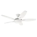 Hunter Contempo White Ceiling Fan with White / Light Oak Switch Blades