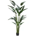 Potted Artificial Sky Bird Plant, Type A, 213cm