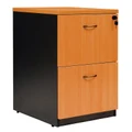 Logan 2 Drawer File Cabinet, Beech / Black
